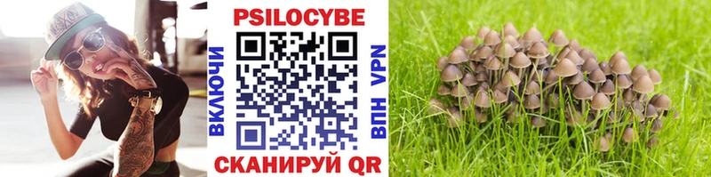 Псилоцибиновые грибы Cubensis кракен ТОР Усть-Катав где продают